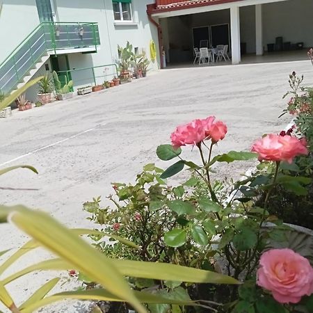 Gorizia Vacanze Appartamento In Villa Con Parcheggio Екстер'єр фото